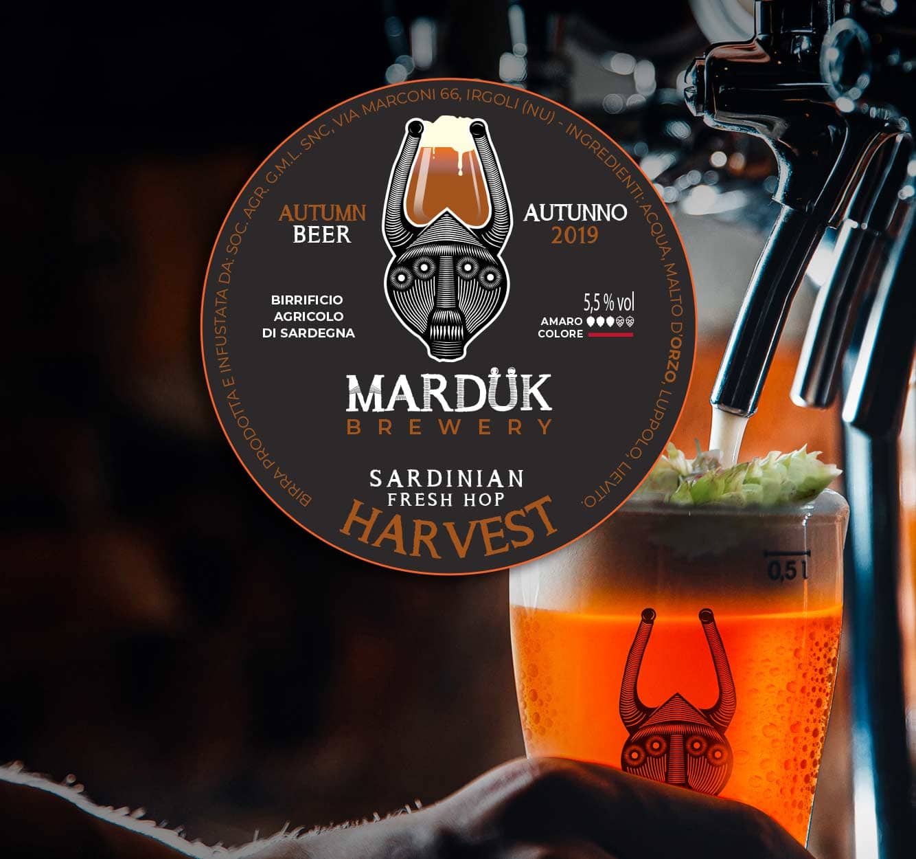 https://www.birrificiomarduk.com/wp-content/uploads/2021/01/0001n-linea-stagionali-harvest-istajones-sardinian-beer-Marduk-brewery-birre-birrificio-materie-prime-lupolo-malto-orzo.jpg